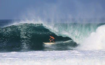 Mexico surf forecasts