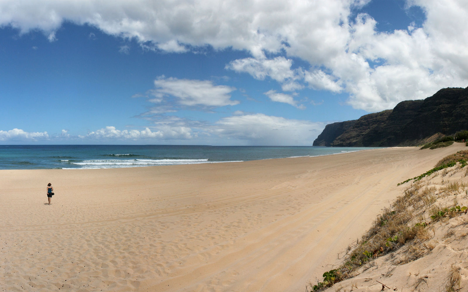 Barking sands beach kauai