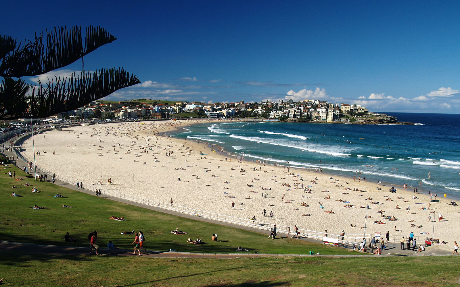 Bondi Beach / New South Wales / Australia // World Beach Guide