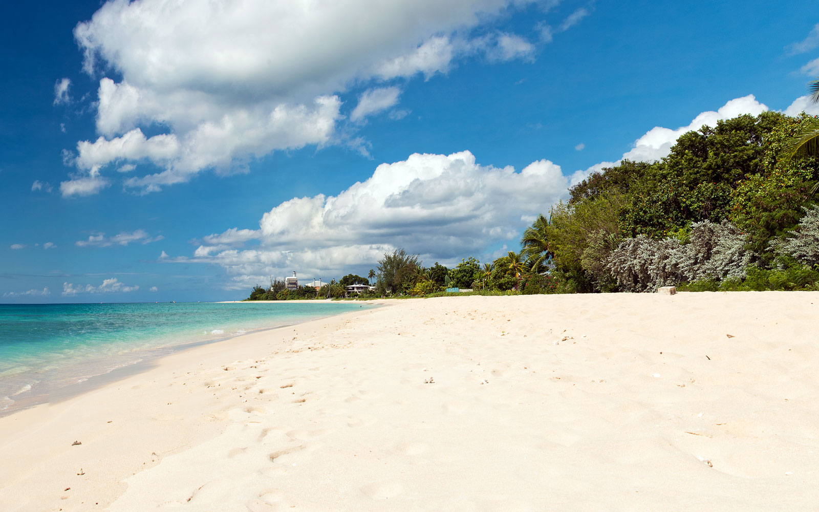 Brandons Beach  Barbados  The Caribbean  World Beach Guide