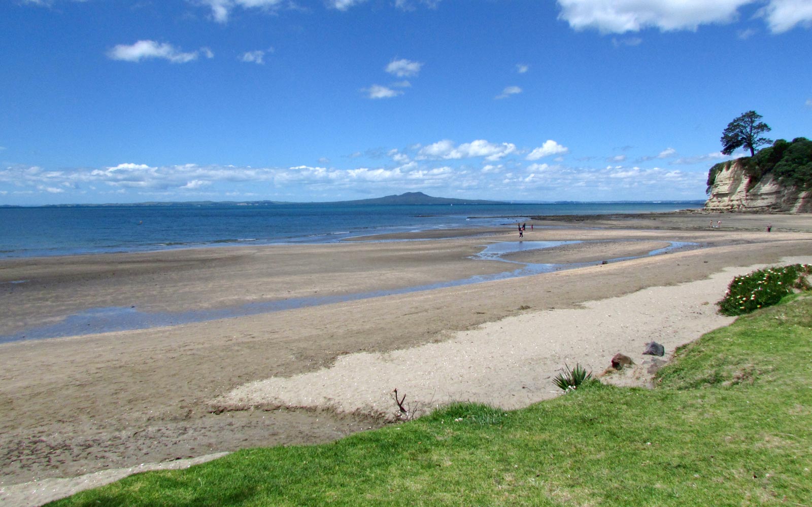 Browns Bay / North Island / New Zealand // World Beach Guide