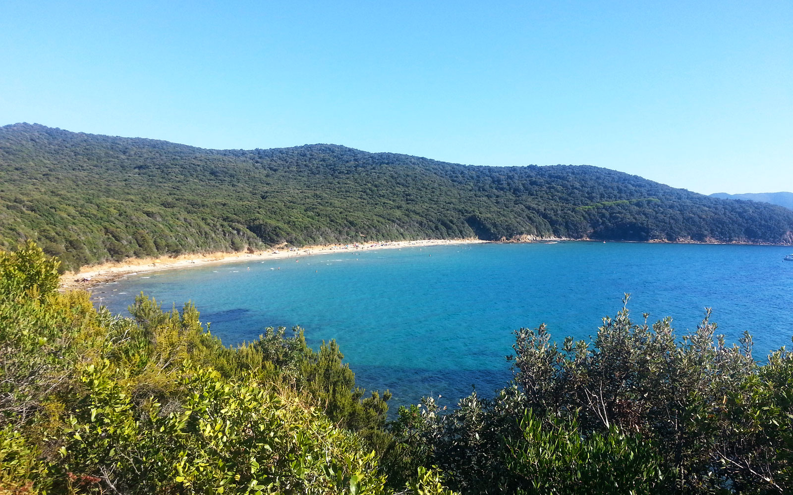 Cala Violina / Tuscany / Italy // World Beach Guide