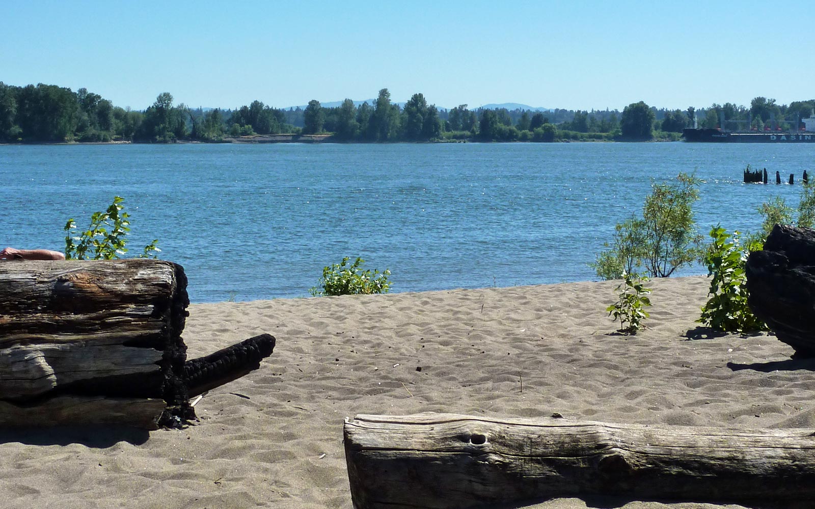 Sauvie Island Beach Nude