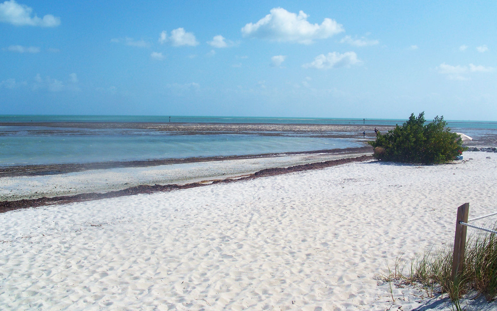 Curry Hammock State Park Beach / Florida Keys / Florida // World Beach