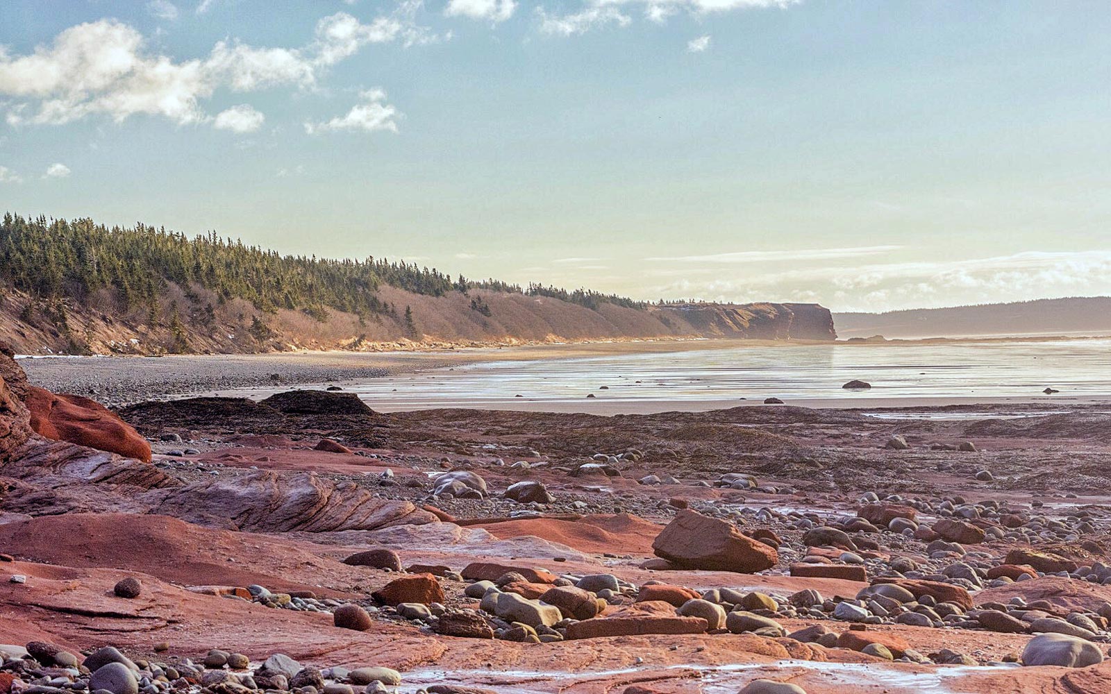 Dennis Beach - Canada