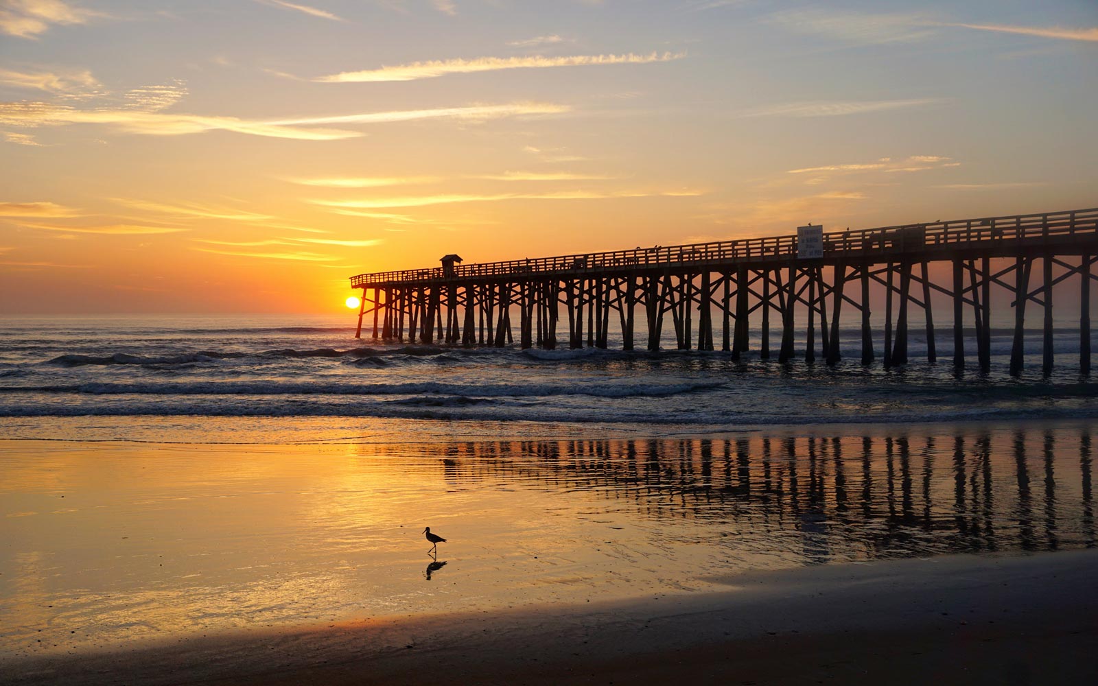 Flagler Beach / Florida / USA // World Beach Guide
