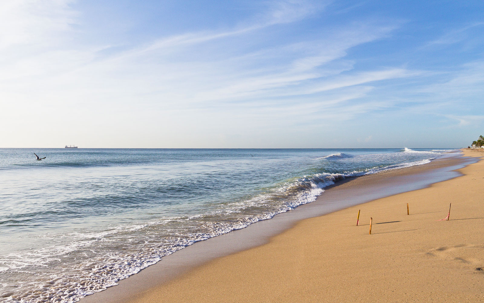 Amateur beach nudists stretching on the golden sand