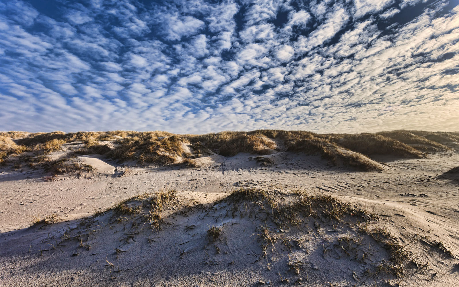 Henne Strand - Denmark