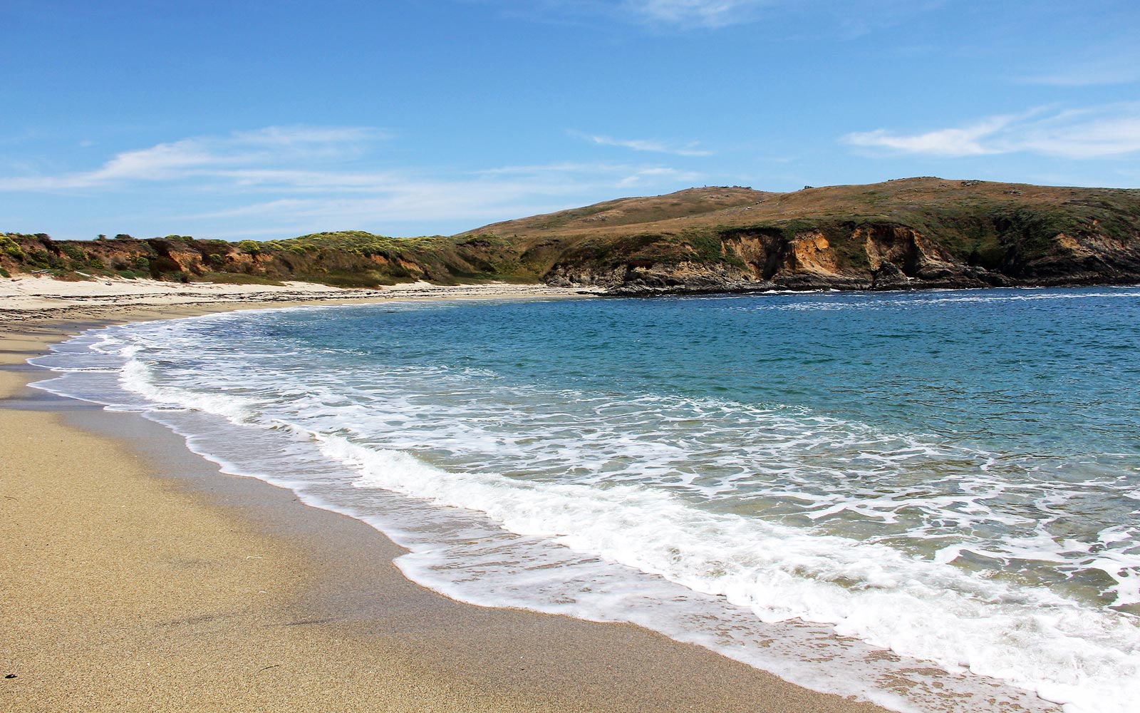 Horseshoe Cove Beach / Northern California / California // World Beach