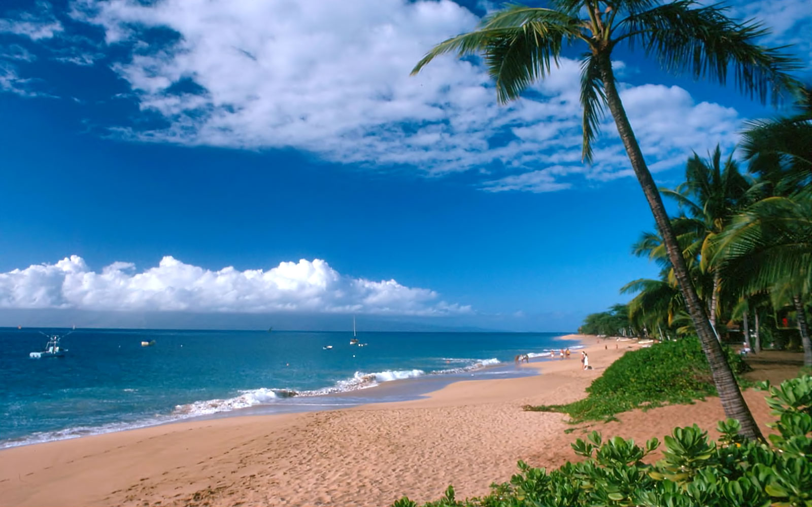 Kāʻanapali Beach / Maui / Hawaii // World Beach Guide