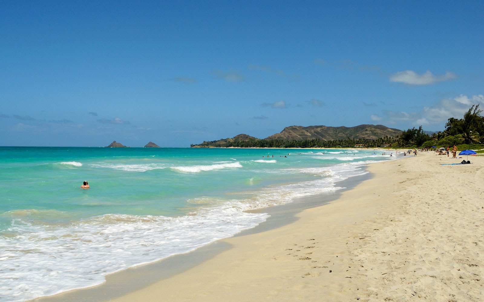 does kailua beach allow dogs