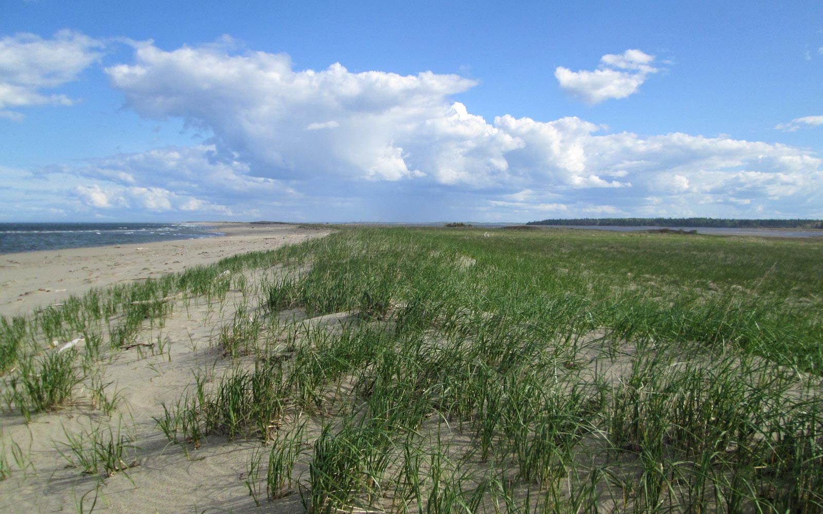 North Kouchibouguac Dune Beach / New Brunswick / Canada // World Beach