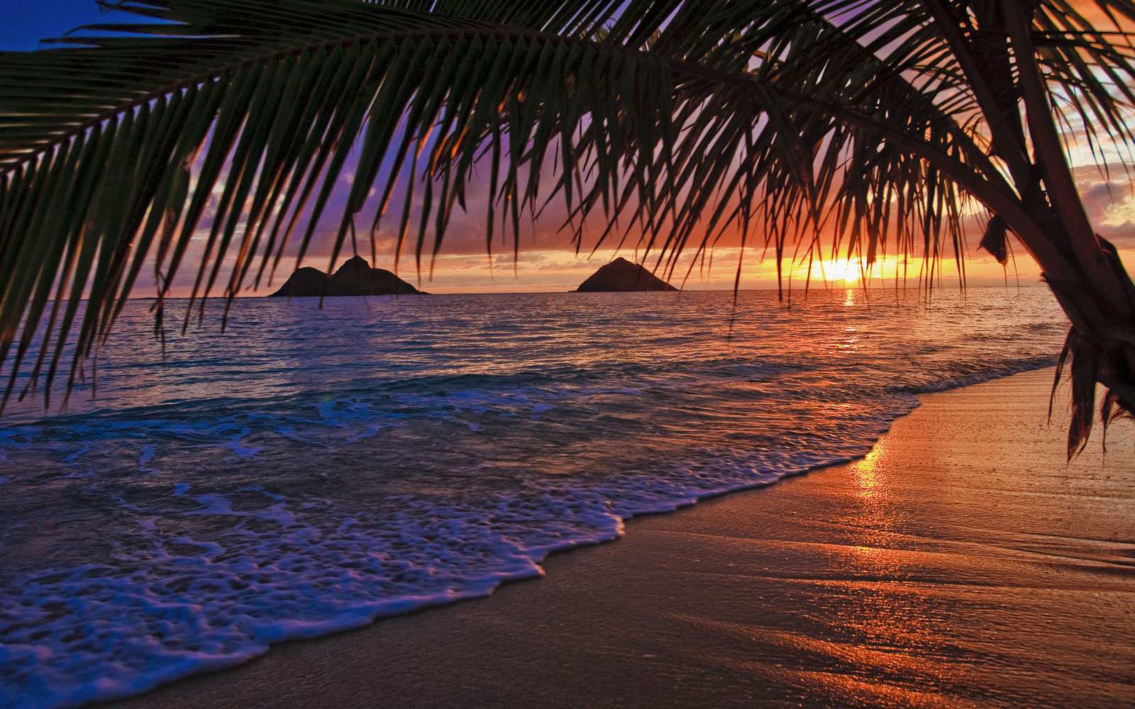 beautiful beaches at night