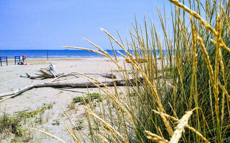 Alberoni Beach - Italy