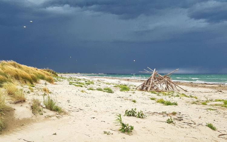 Alberoni Beach - Italy