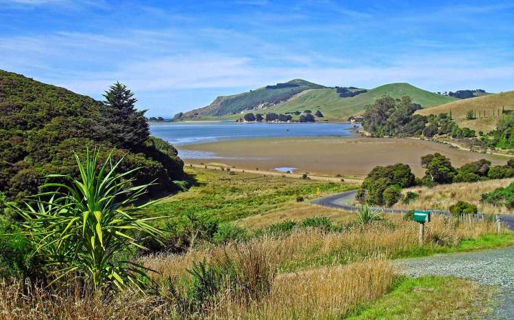 Allans Beach - New Zealand