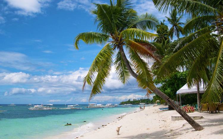 Alona Beach