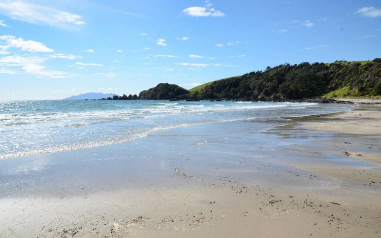 Anchor Bay - New Zealand