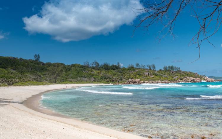 Anse Cocos Beach - Seychelles