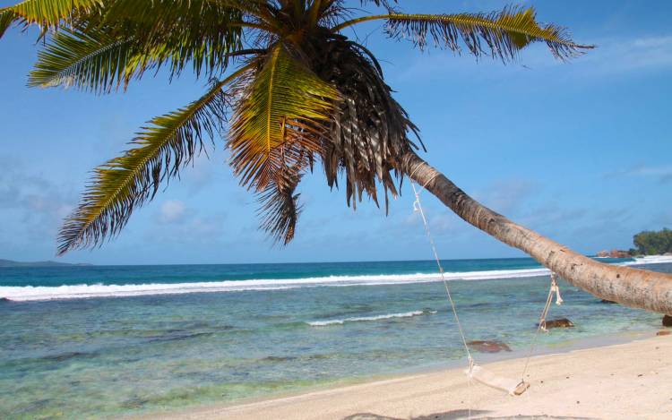 Anse Fourmis Beach - Seychelles