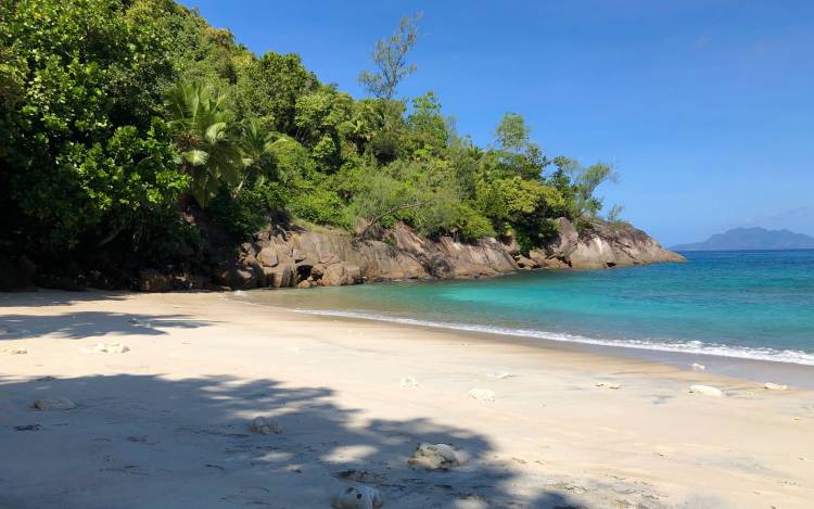 Anse Major Beach - Seychelles