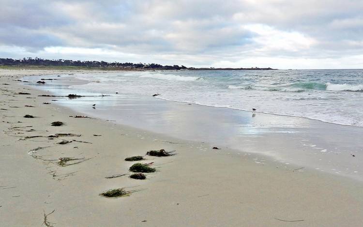 Asilomar State Beach - USA