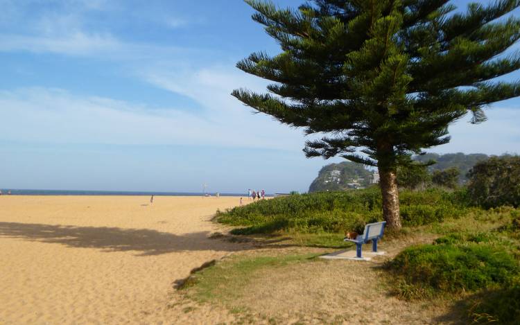 Avoca Beach - Australia