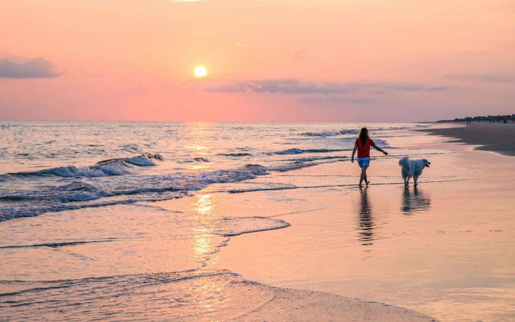 Bald Head Island Beach - USA