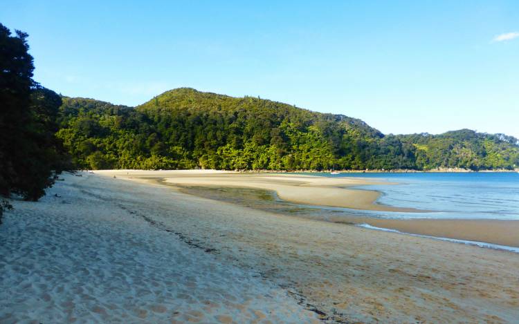 Bark Bay - New Zealand