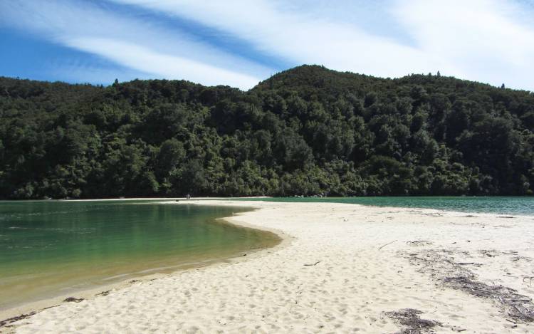 Bark Bay - New Zealand