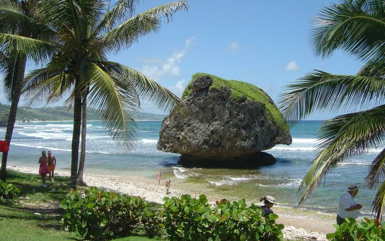 Bathsheba Beach - The Caribbean