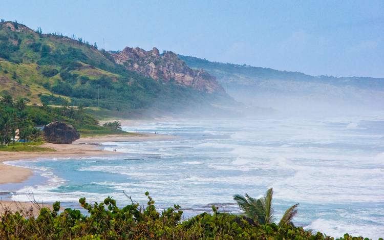 Bathsheba Beach - The Caribbean