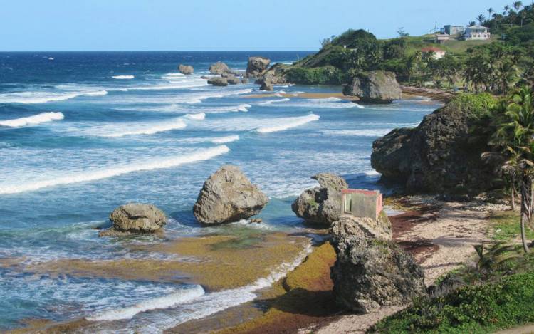 Bathsheba Beach - The Caribbean