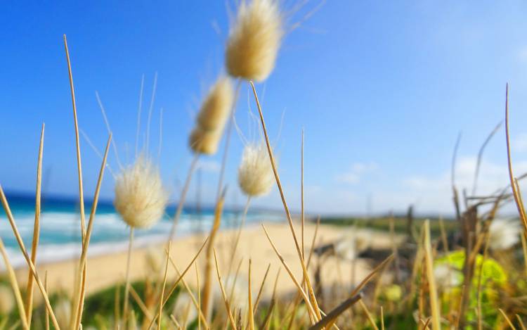 Bingie Beach - Australia