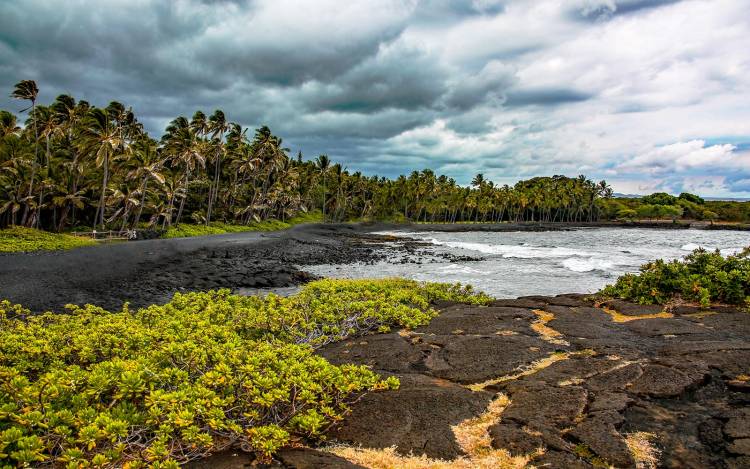 Punalu'u Beach - USA