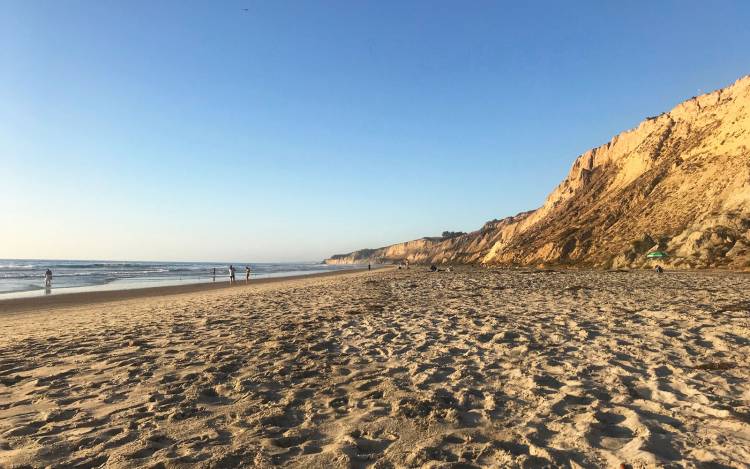 Black's Beach