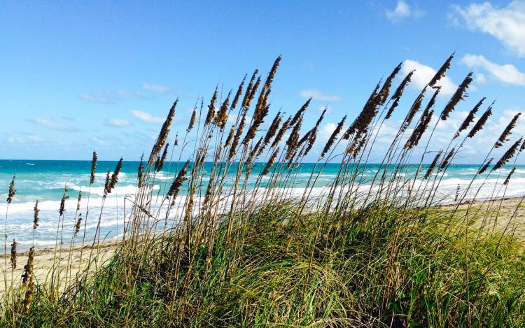Blind Creek Beach