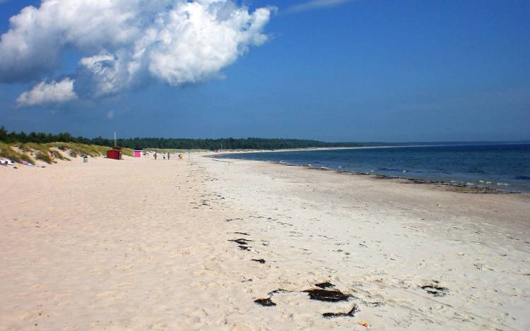 17 Best Beaches in Sweden // World Beach Guide