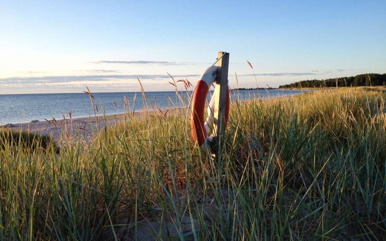 Böda Beach - Sweden