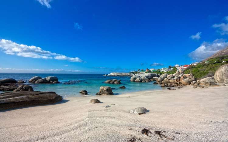 Boulders Beach - South Africa