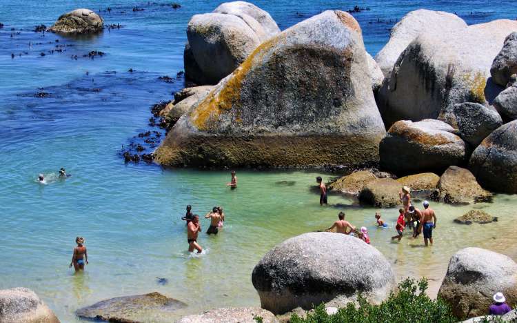 Boulders Beach - South Africa