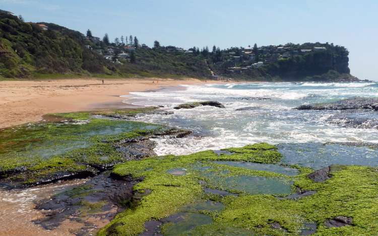 Bungan Beach - Australia