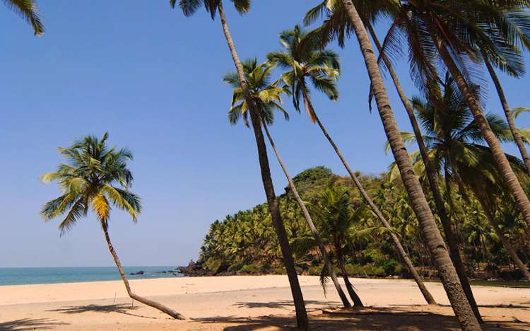 Cabo de Rama Beach