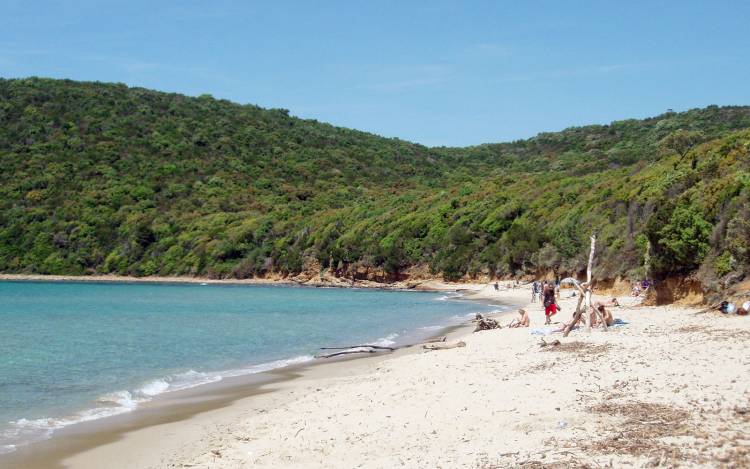 Cala Violina - Italy