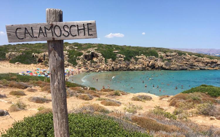 Calamosche