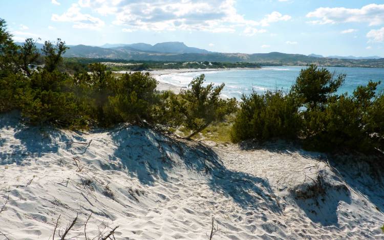 Capo Comino Beach - Italy