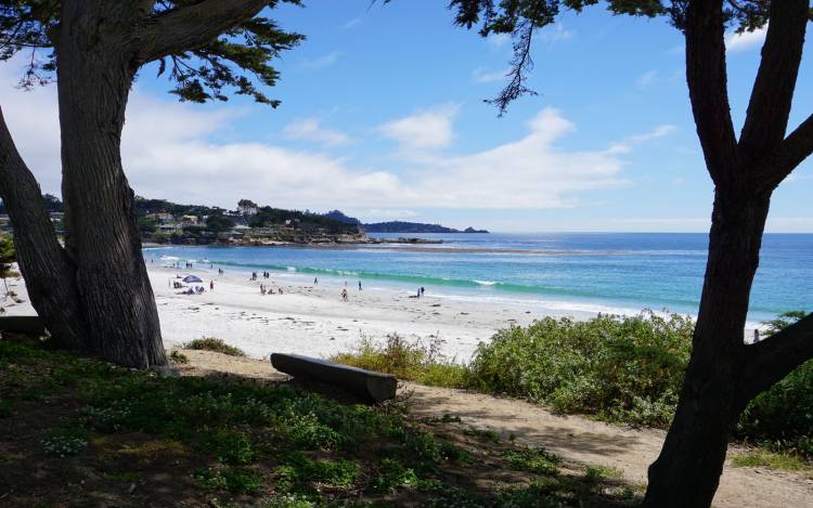 Carmel Beach