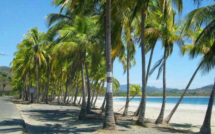 Playa Carrillo - Costa Rica