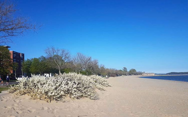 Carson Beach