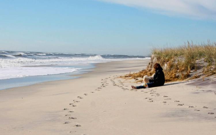 Cedar Beach
